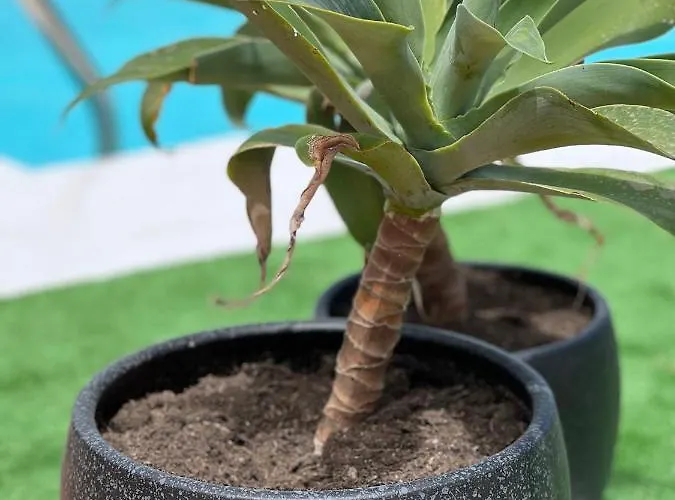 Erimar Met Verwarmd Zwembad * Πλάγια Μπλάνκα