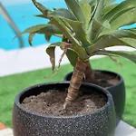 Erimar Met Verwarmd Zwembad * Playa Blanca (Lanzarote)