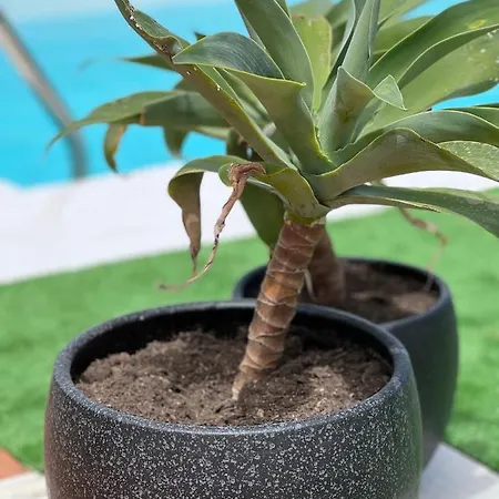 Erimar Met Verwarmd Zwembad * Playa Blanca (Lanzarote)